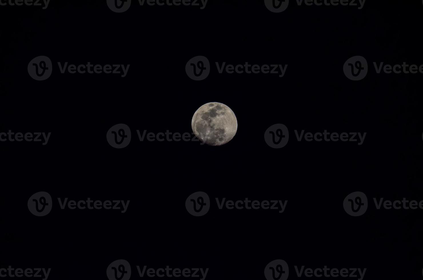 primer plano de la vista de la luna foto