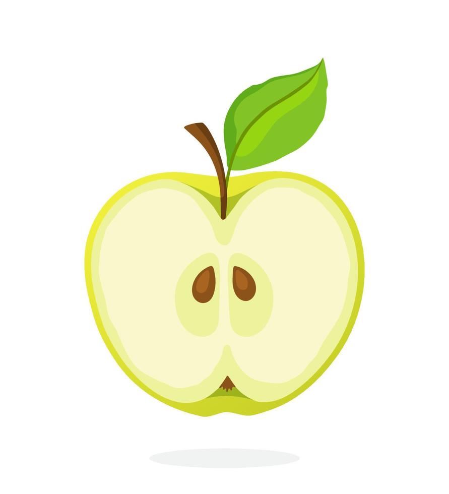 A piece of green apple cut in half vector