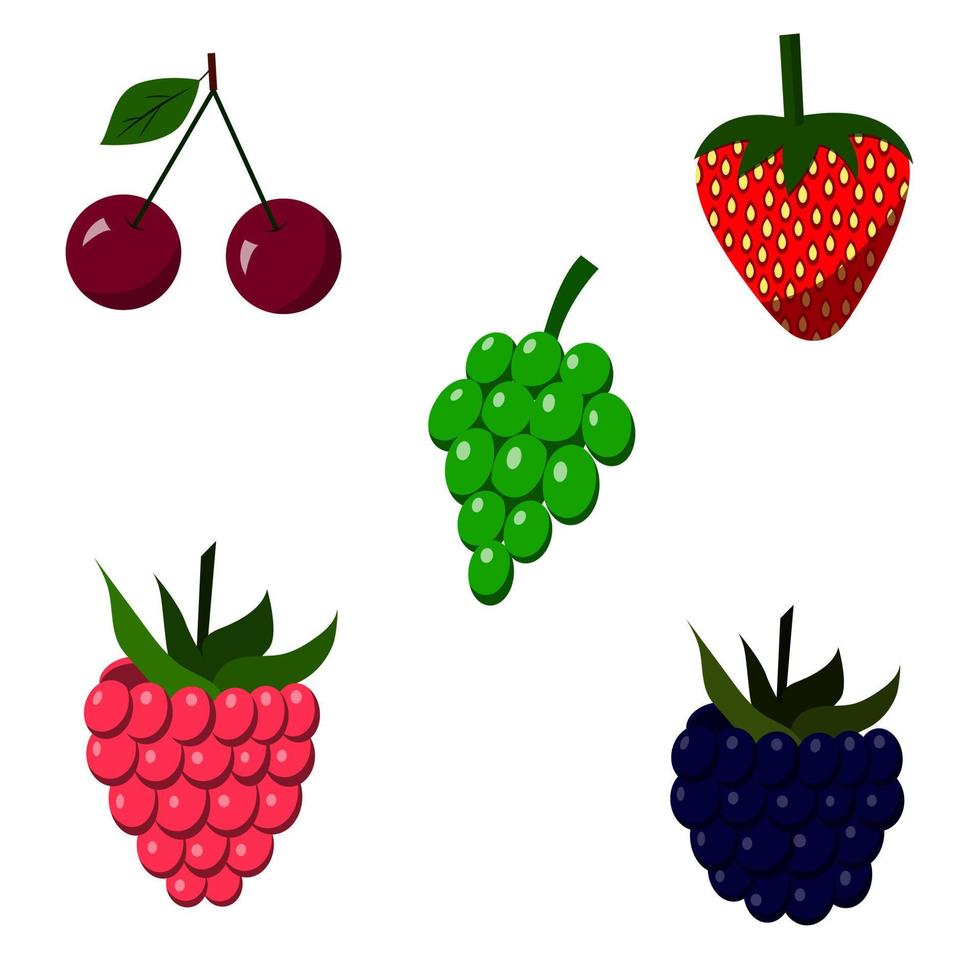 un conjunto de frambuesas, fresas, uvas, cerezas, moras. vector aislado en un fondo blanco
