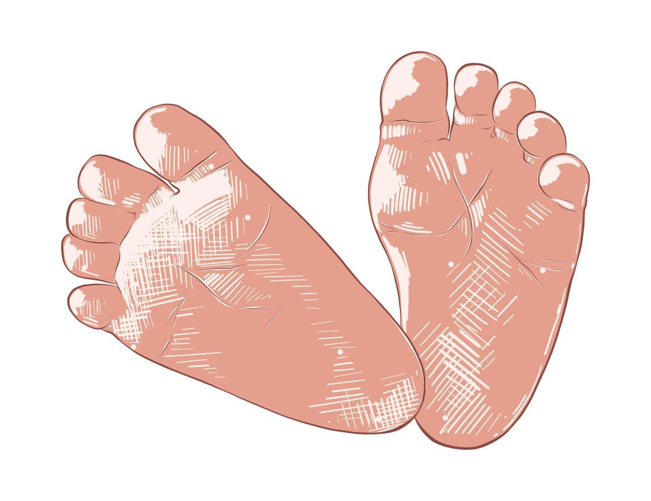 Vector engraved style illustration for posters, decoration and print. Hand drawn sketch of newborn baby foots print isolated on white background. Detailed vintage etching style drawing.