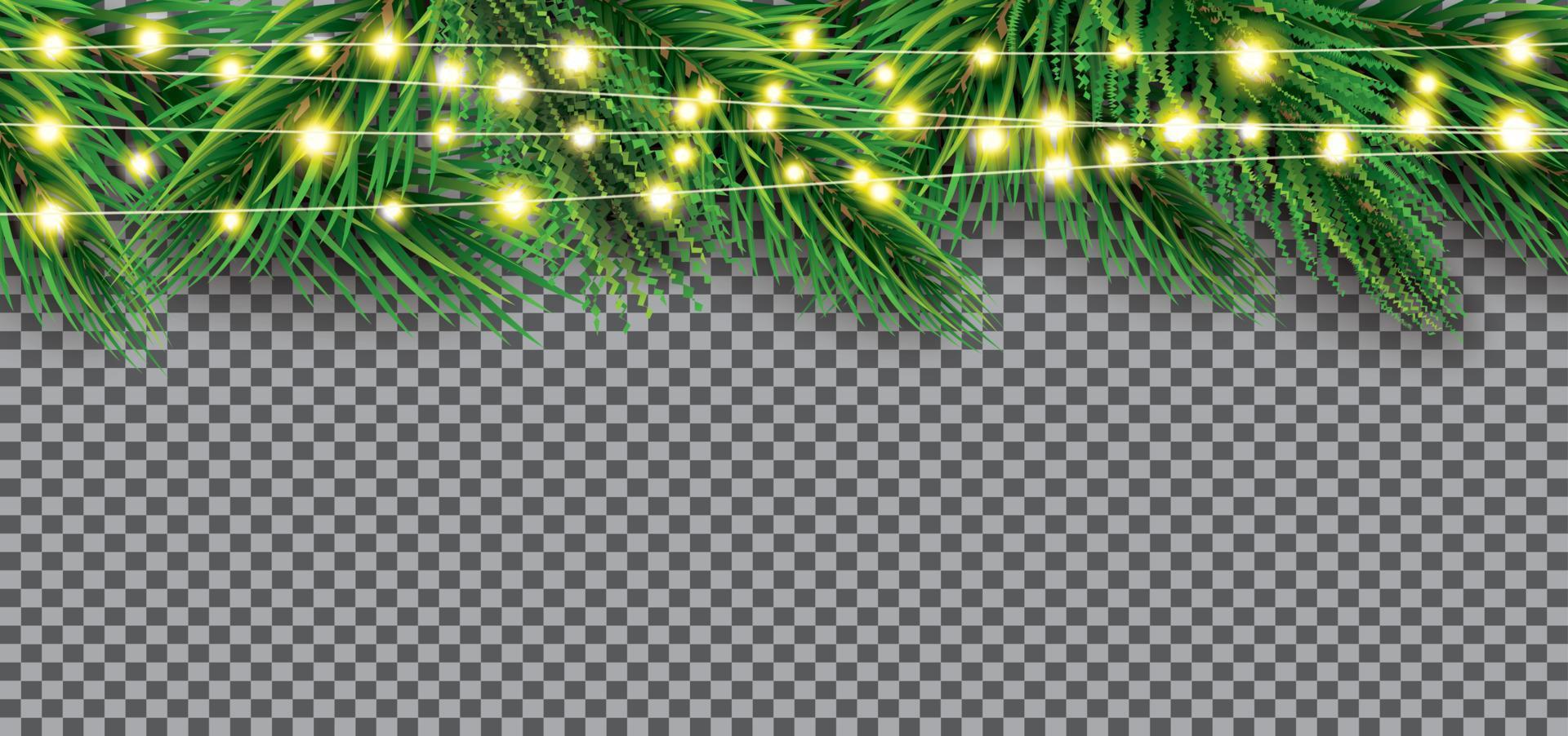 Christmas Border with Fir Branch with Neon Lights on Transparent Background. Pine Sprigs on Above. vector