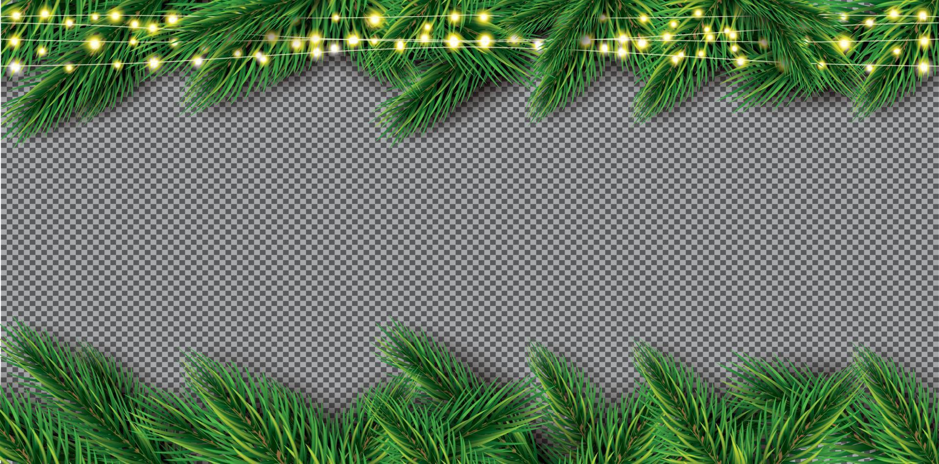 Fir Branch with Neon Lights on Transparent Background. Pine Sprigs on Above. vector