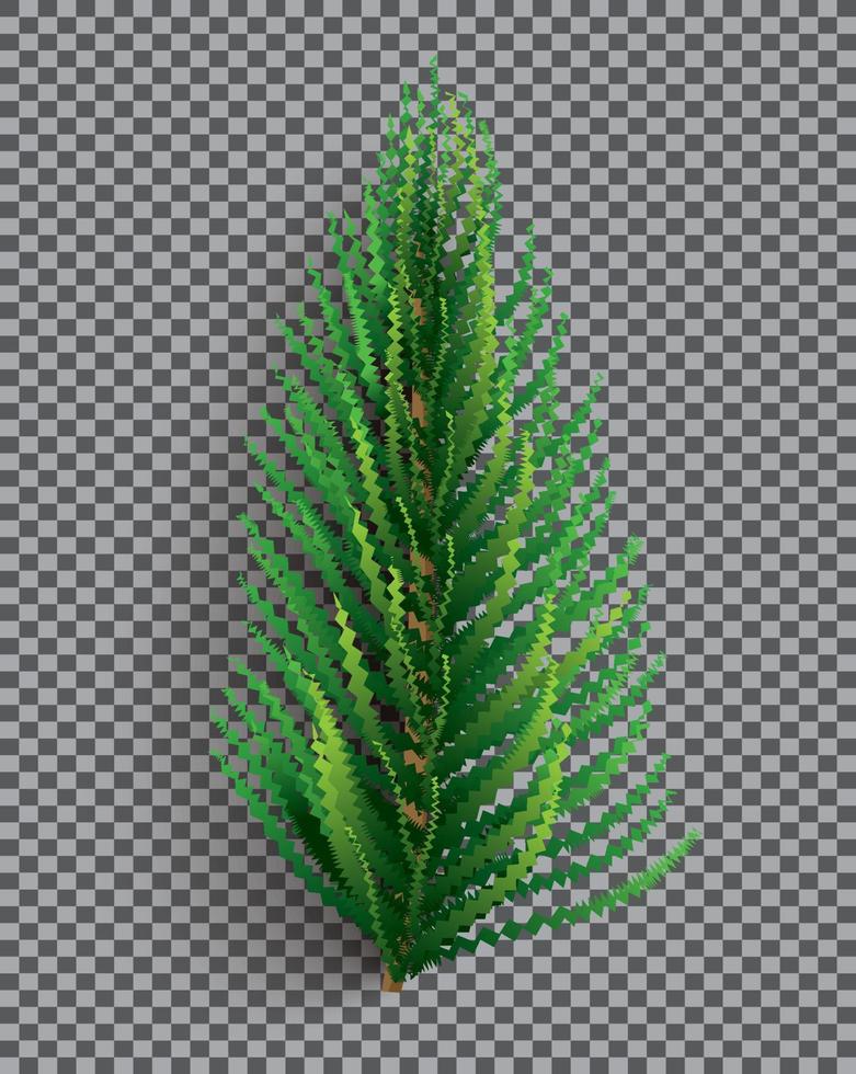 Fir Branch. Christmas Tree. Pine Sprig on Transparent Grid Background. vector