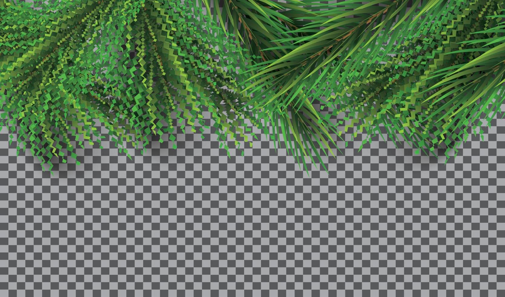 Christmas Border with Fir Branches on Transparent Background. Pine Sprigs on Above. vector