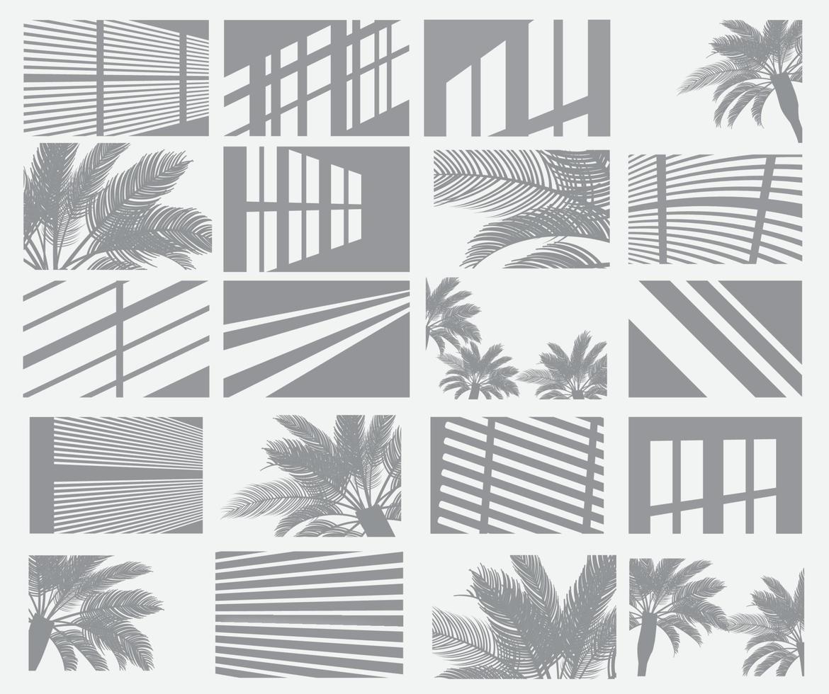 Set of Transparent Shadow Overlay Effects. Window Frames, Palm Tree and Blind. vector