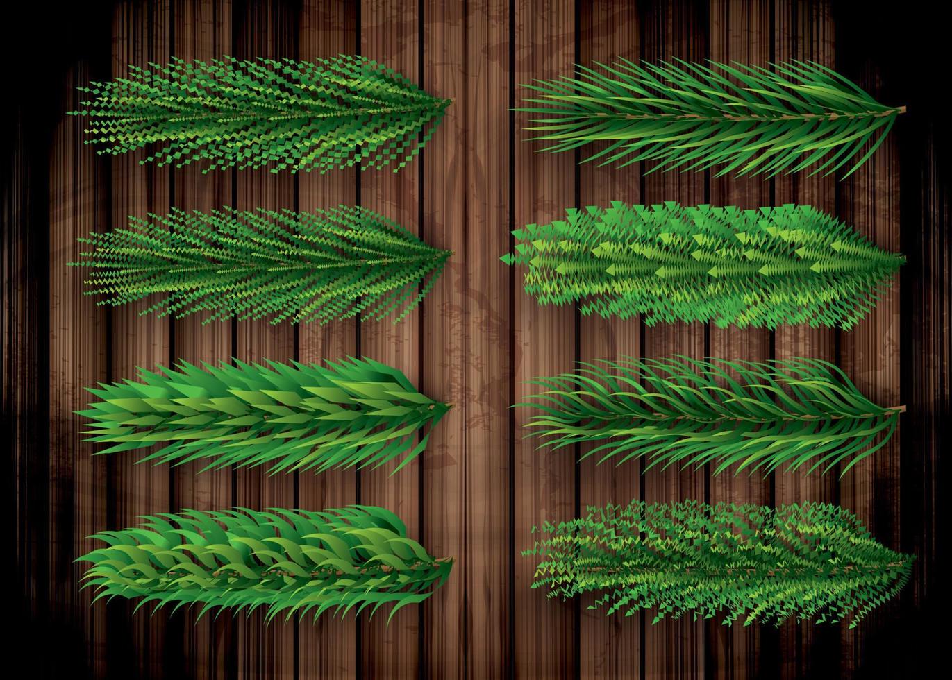 Fir Branches Set. Christmas Tree. Pine Sprigs on Wooden Background. vector