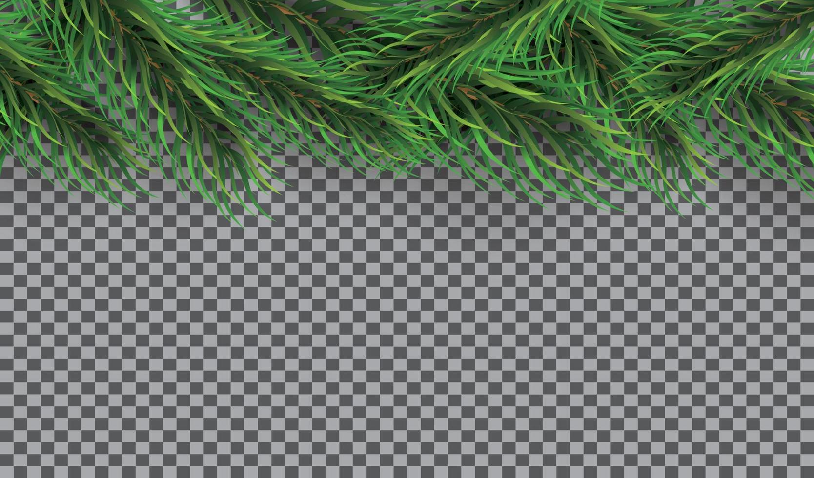 Christmas Border with Fir Branches on Transparent Background. Pine Sprigs on Above. vector