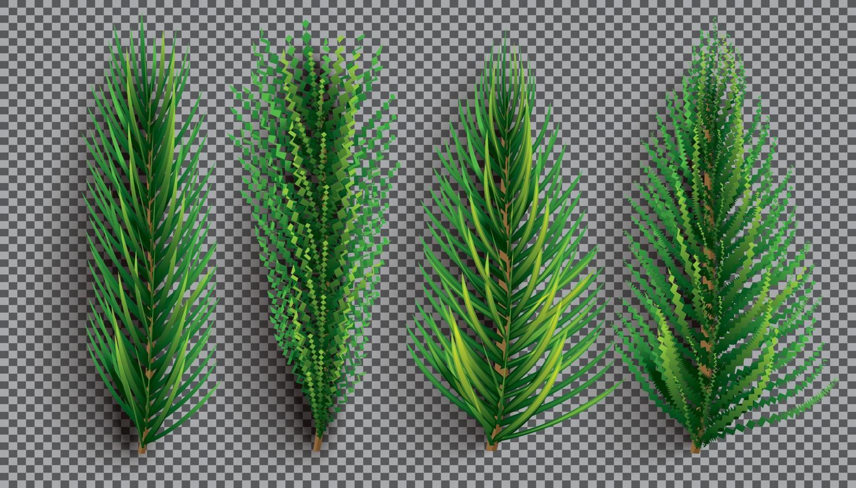 Fir Branches Set. Christmas Tree. Pine Sprigs on Transparent Grid Background. vector