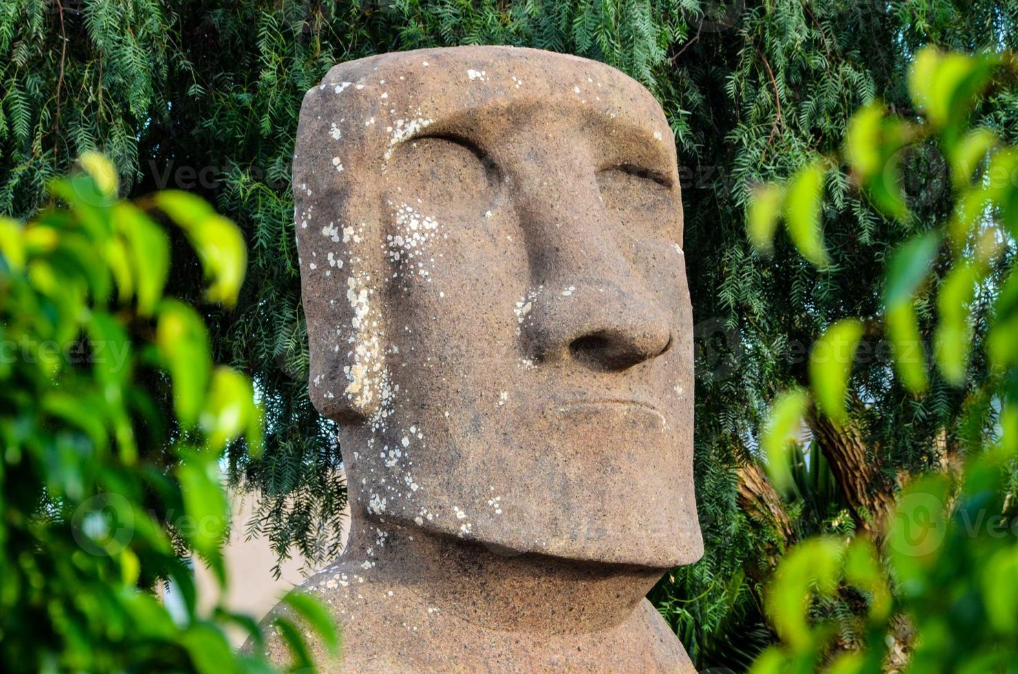 Stone moai style bust photo