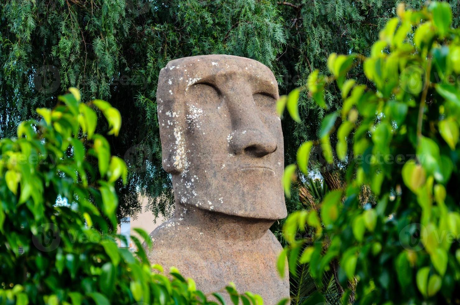 Stone moai style bust photo