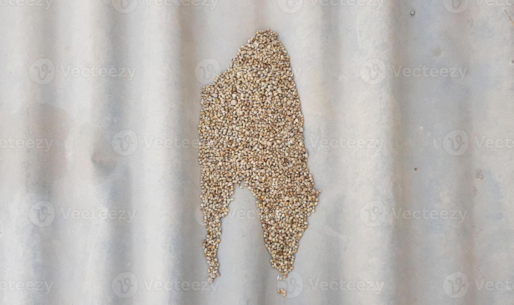 small pile of raw multicolored quinoa isolated on grey textured background photo