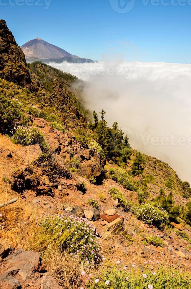 Scenic desert view photo