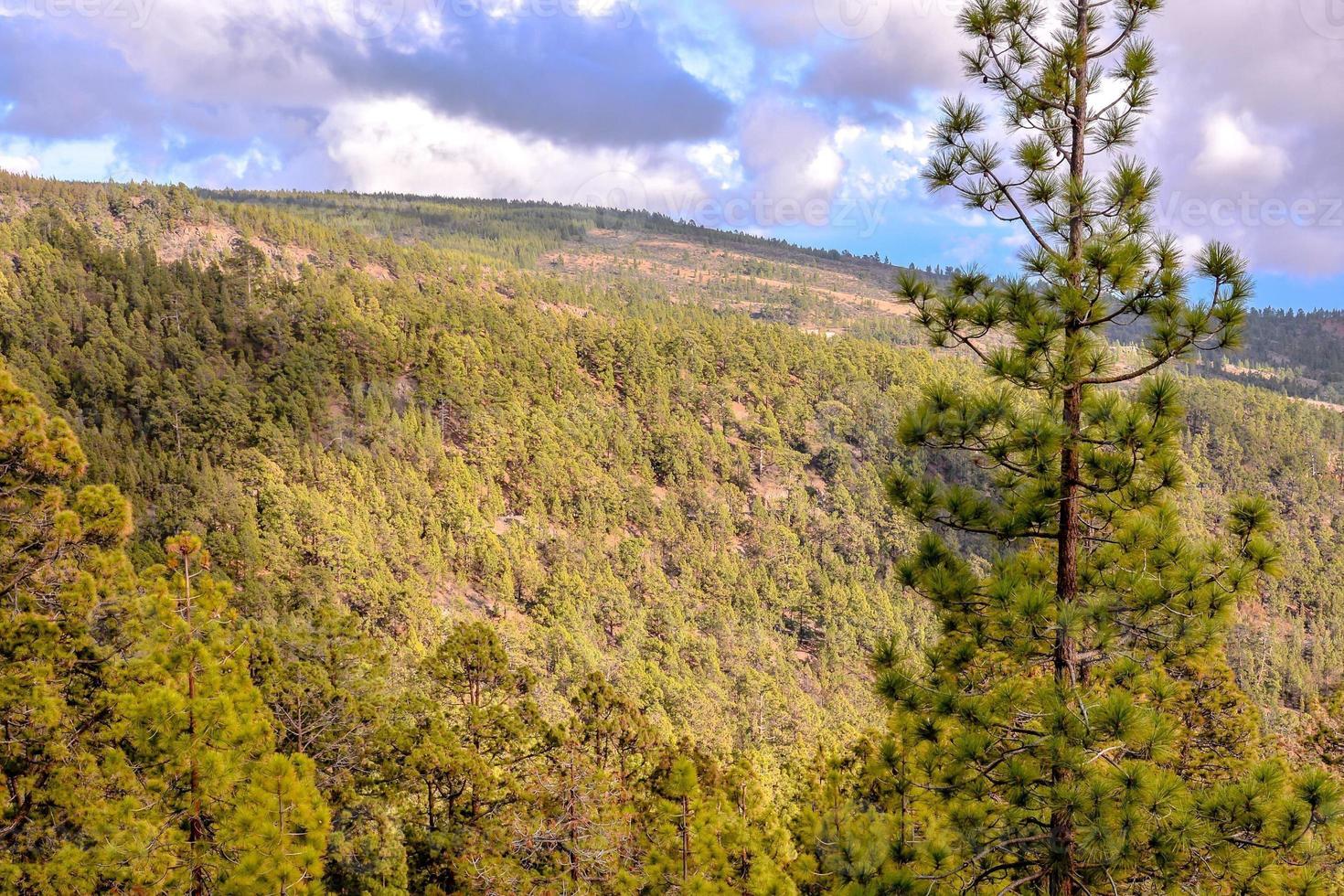 Scenic mountains view photo