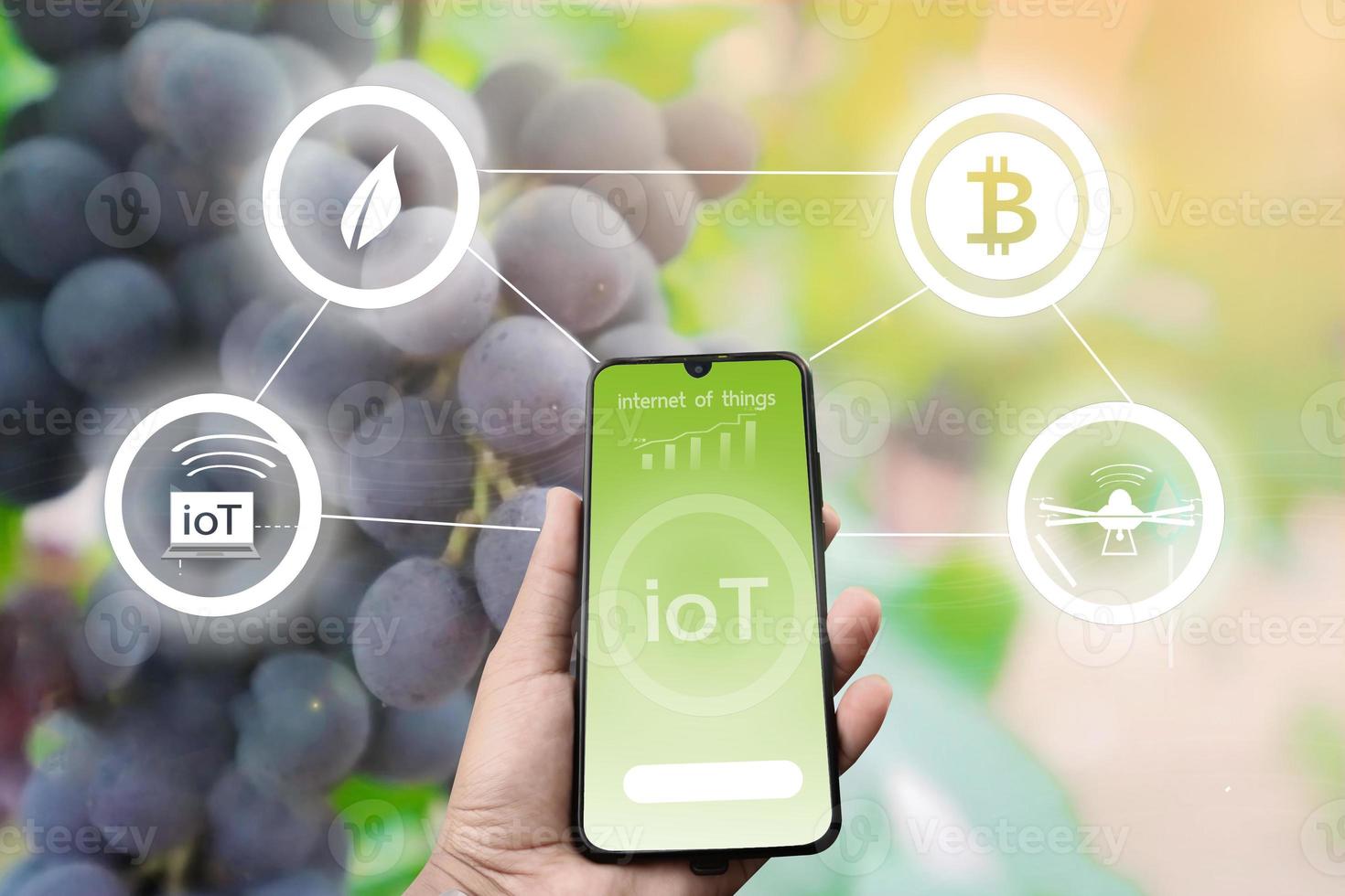 Futuristic businessman farms vegetables and crops using modern AI technology using mobile phones, temperature and humidity sensors, water tracking, climate control, holographic data data icons. photo