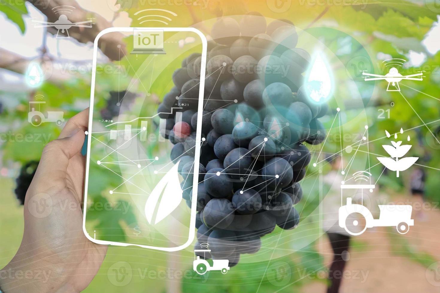 Smart farm system that uses clean energy photo