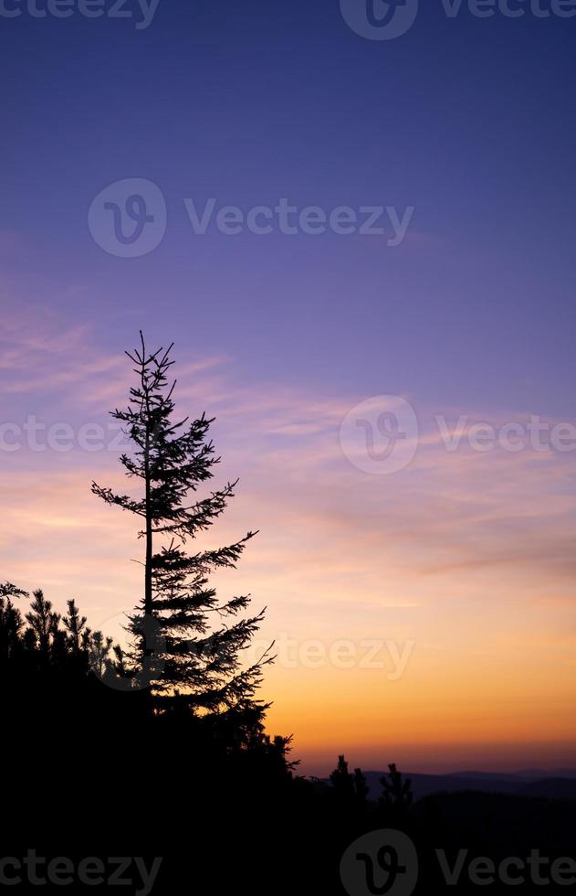 Romantic purple and orange sunset over the high Tatra mountains with dense mist and long sun rays. Vibrant and colorfull sunrise from the peak. Trekking during golden hour in the forest. photo