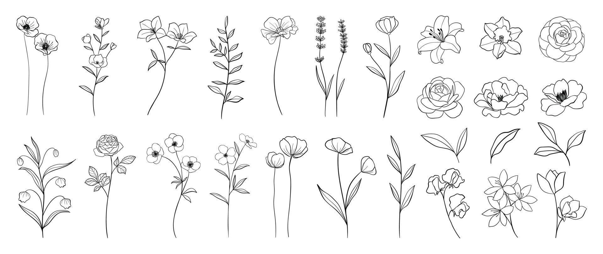 Set of hand drawn botanical flowers line art vector. Collection of black white contour drawing of rose, lily, wildflowers, leaf. Design illustration for print, logo, cosmetic, poster, card, branding. vector