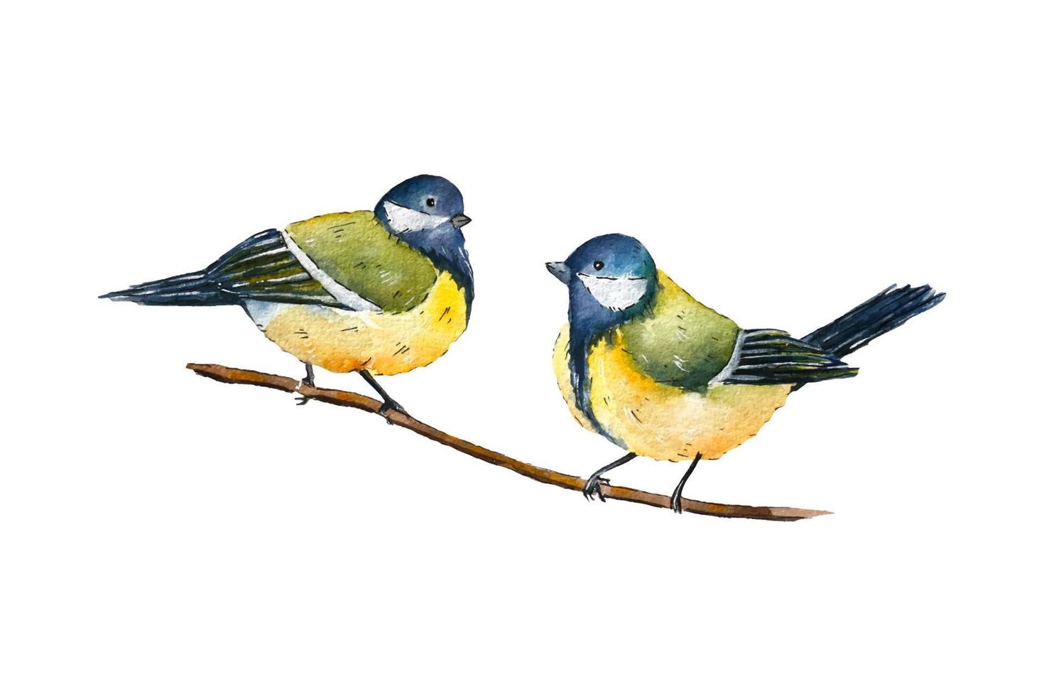 Watercolor birds sitting on a branch. vector