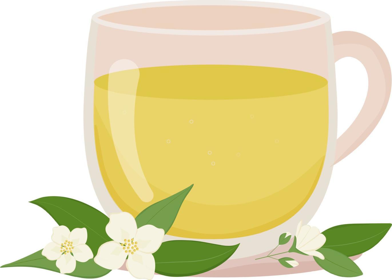 Cup of jasmine tea. Transparent cup with tea and floral decoration. Hot drink. Healthcare. Homeopathic treatment. Vector illustration on
