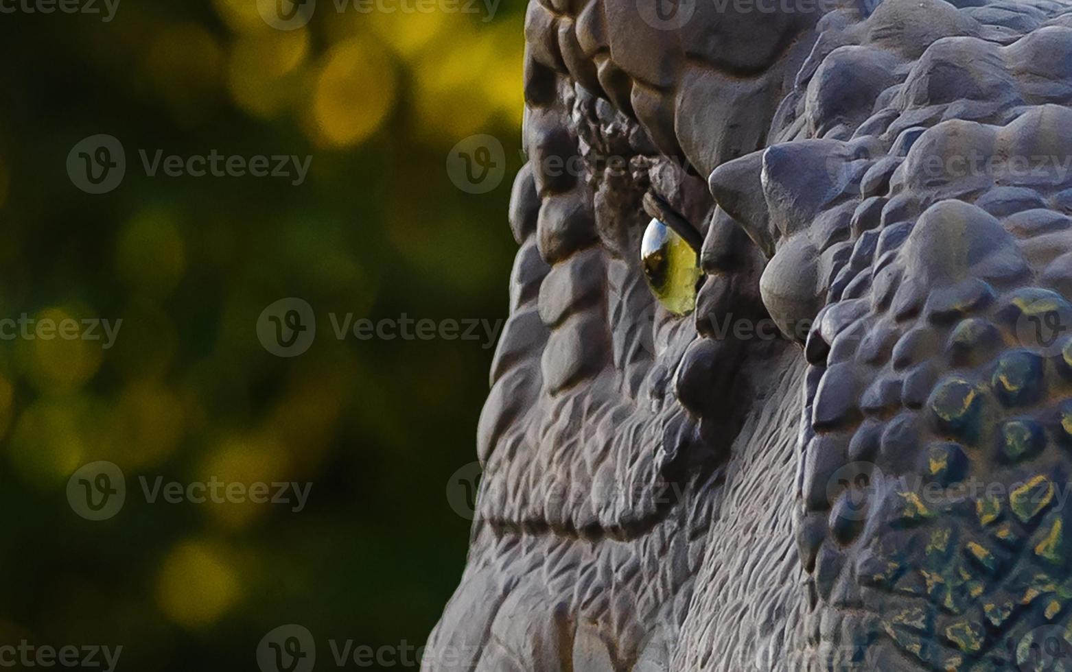 cara de dinosaurio de cerca, concéntrate en el ojo foto