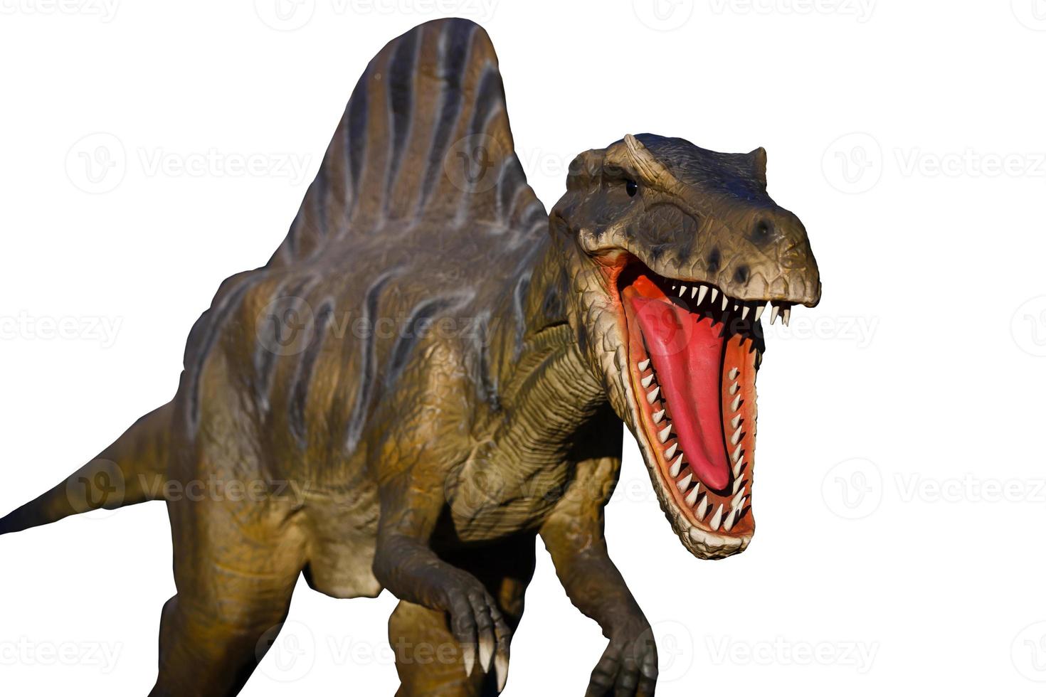 Tyrannosaurus, prehistoric era dinosaur showing his toothy mouth photo