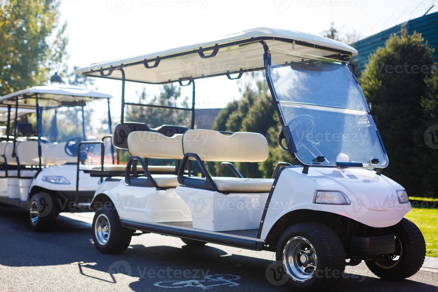 Golf cart over nice green and blue sky photo