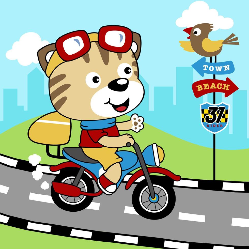 gato divertido montando motocicleta en la carretera, pájaro posado en la señal de carretera, carretera de la ciudad, ilustración de dibujos animados vectoriales vector