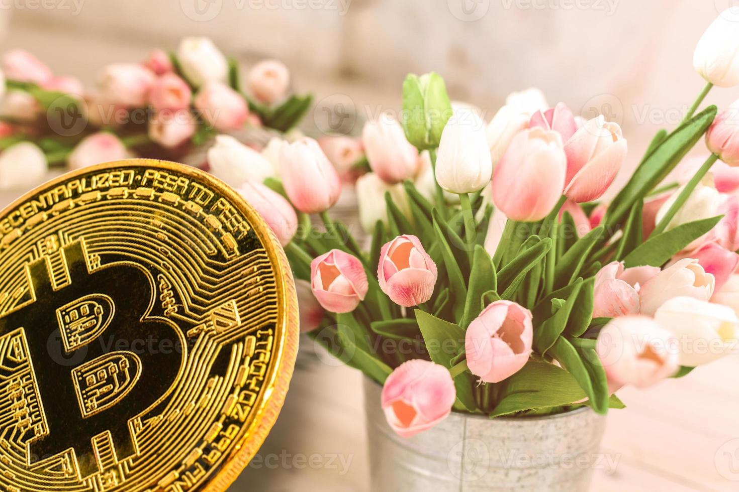 Beautiful spring flowers tulips in the buckets Digital currency physical  bitcoin coin photo