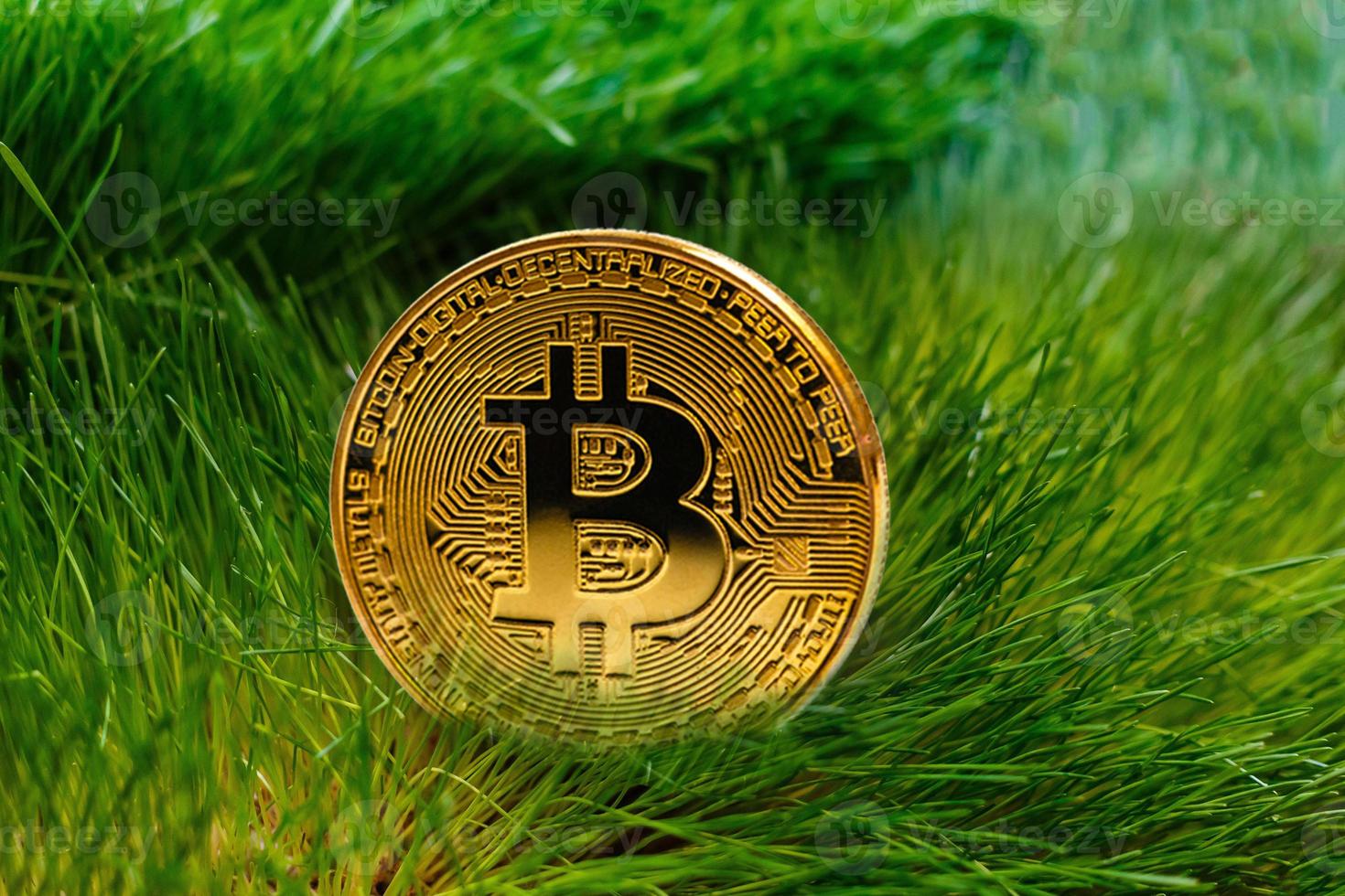 One gold bitcoin coin on a background of grass photo