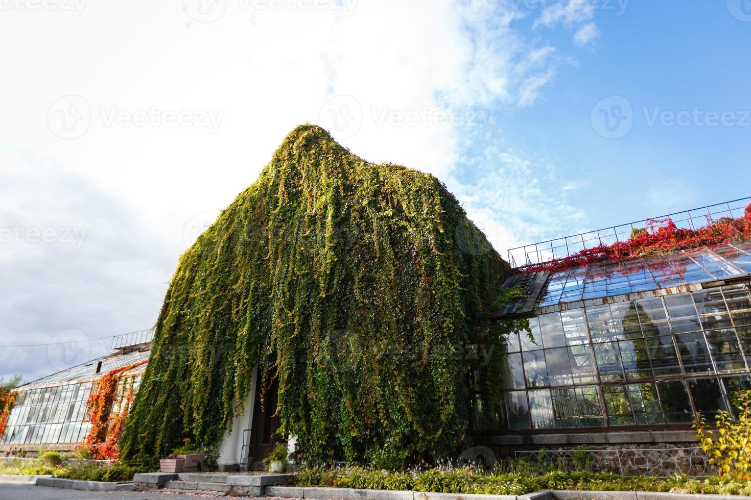 A greenhouse in autumn at natural park photo