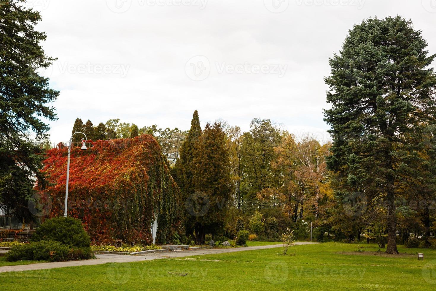 un invernadero en otoño en el parque natural foto