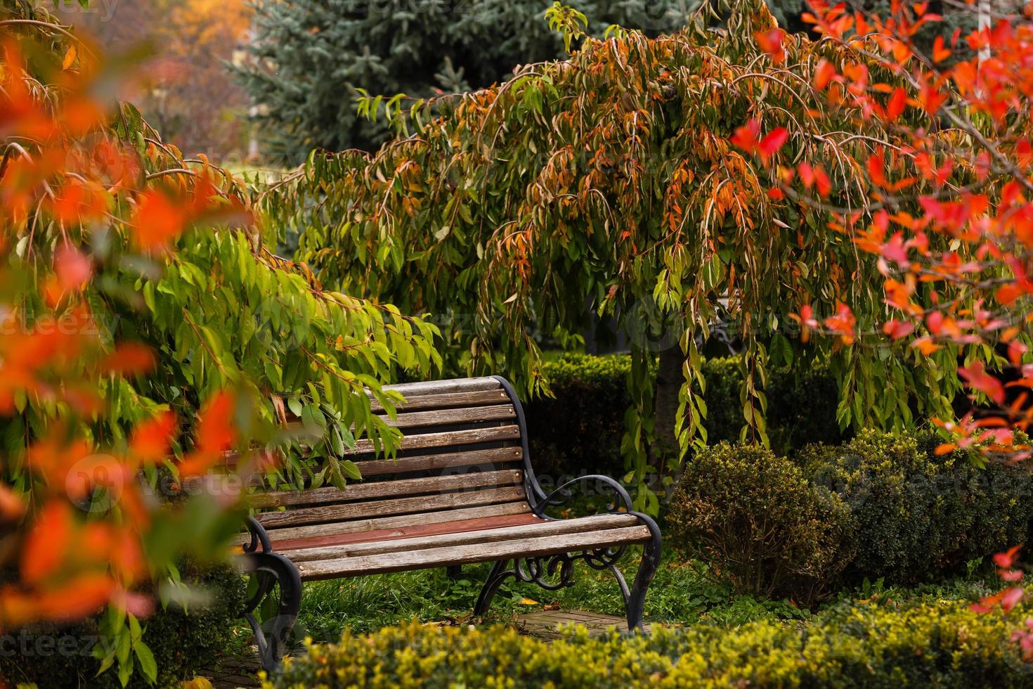 Benches stand in the autumn park during the day photo