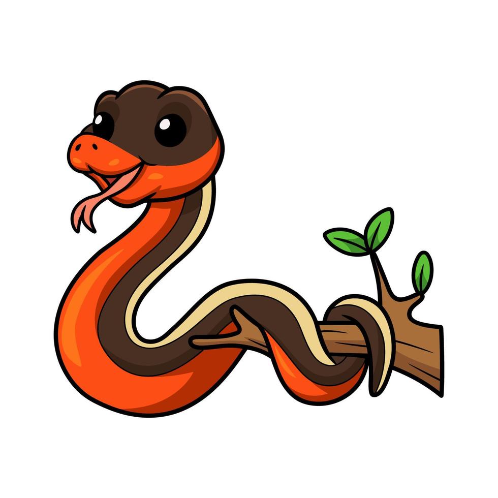 Cute garter snake cartoon on tree branch vector