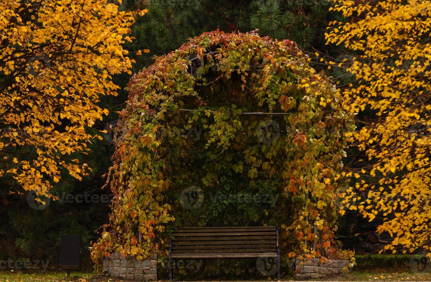 Arbor in a beautiful park in autumn photo