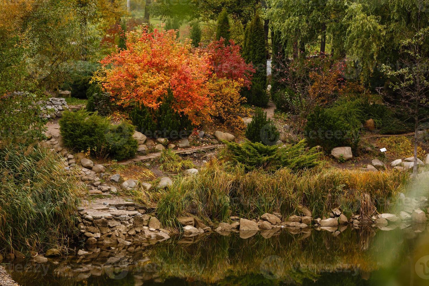 Colorful autumn trees reflected at the small pond photo