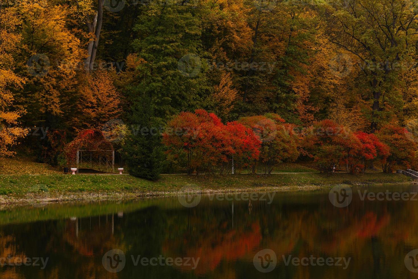 Colorful autumn trees reflected at the small pond photo