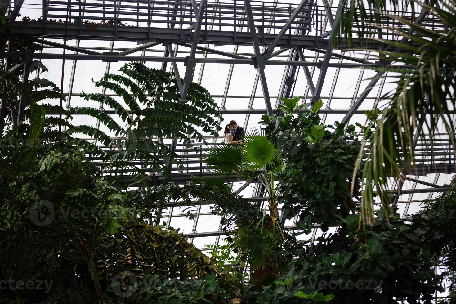 Wedding in tropical greenhouse photo
