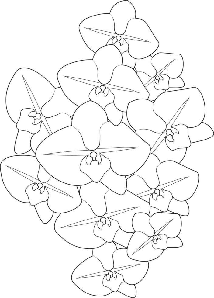 Easy flower coloring pages, Seamless vector floral pattern.  Vector illustration of a beautiful orchid flower botanical background