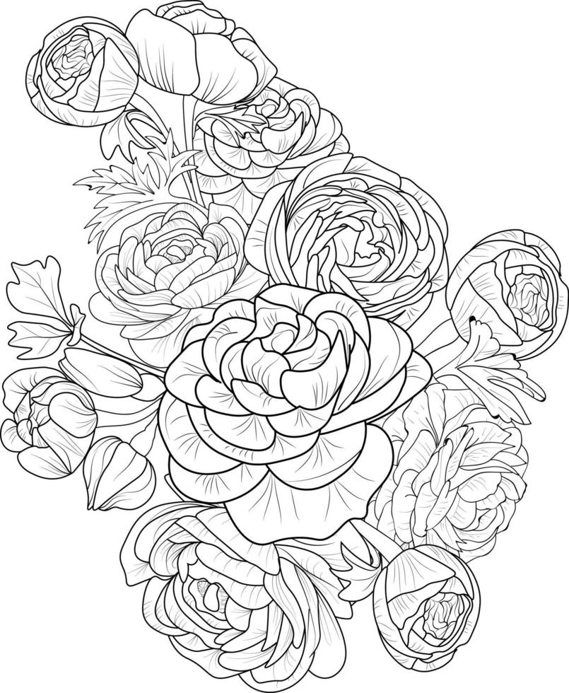 Bouquet of ranunchulas flower hand floral element tattooing, illustration ink art, blossom pencil sketch, coloring page, and book for adults isolated on white backgrourununchulas spring collect. vector