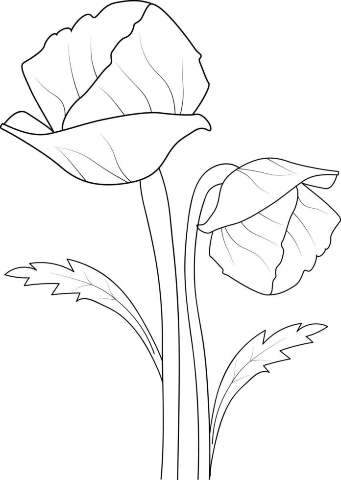  páginas para colorear de flores realistas, ramo de contorno de dibujo de ilustración de flores de amapola.   Vector en Vecteezy