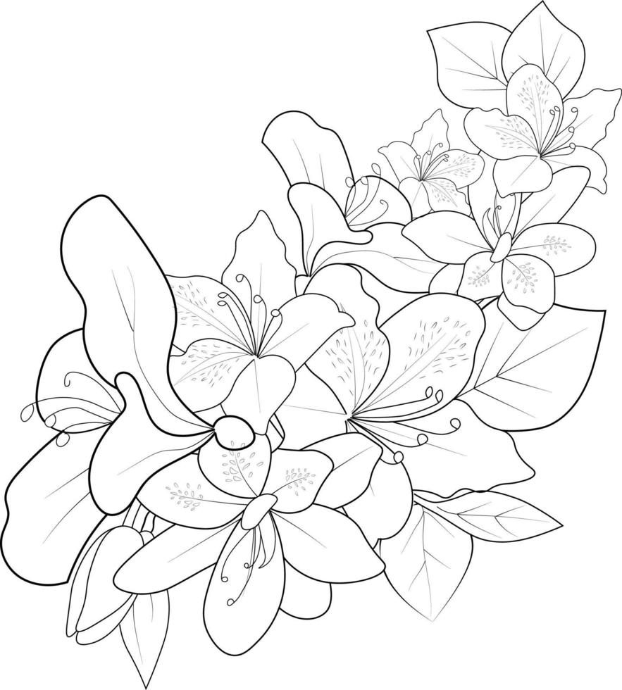 Azalea line art, floral vector illustration, vintage engraved style flowers with evergreen isolated on white background, hand-drawn botanical flower zen doodle.