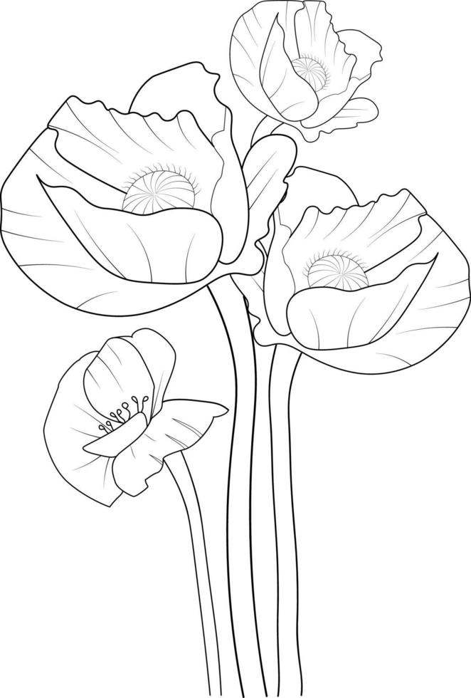 Poppy vector art, monochrome floral pattern. ink vector illustration hand drawn pencil sketch, branch of botanical collaction simplicity, artistic, coloring book for children and adults.