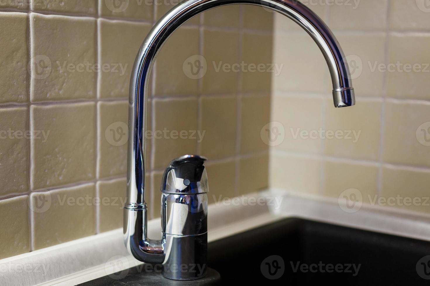 Detail of sink with vegetables on the top in the modern kitchen photo