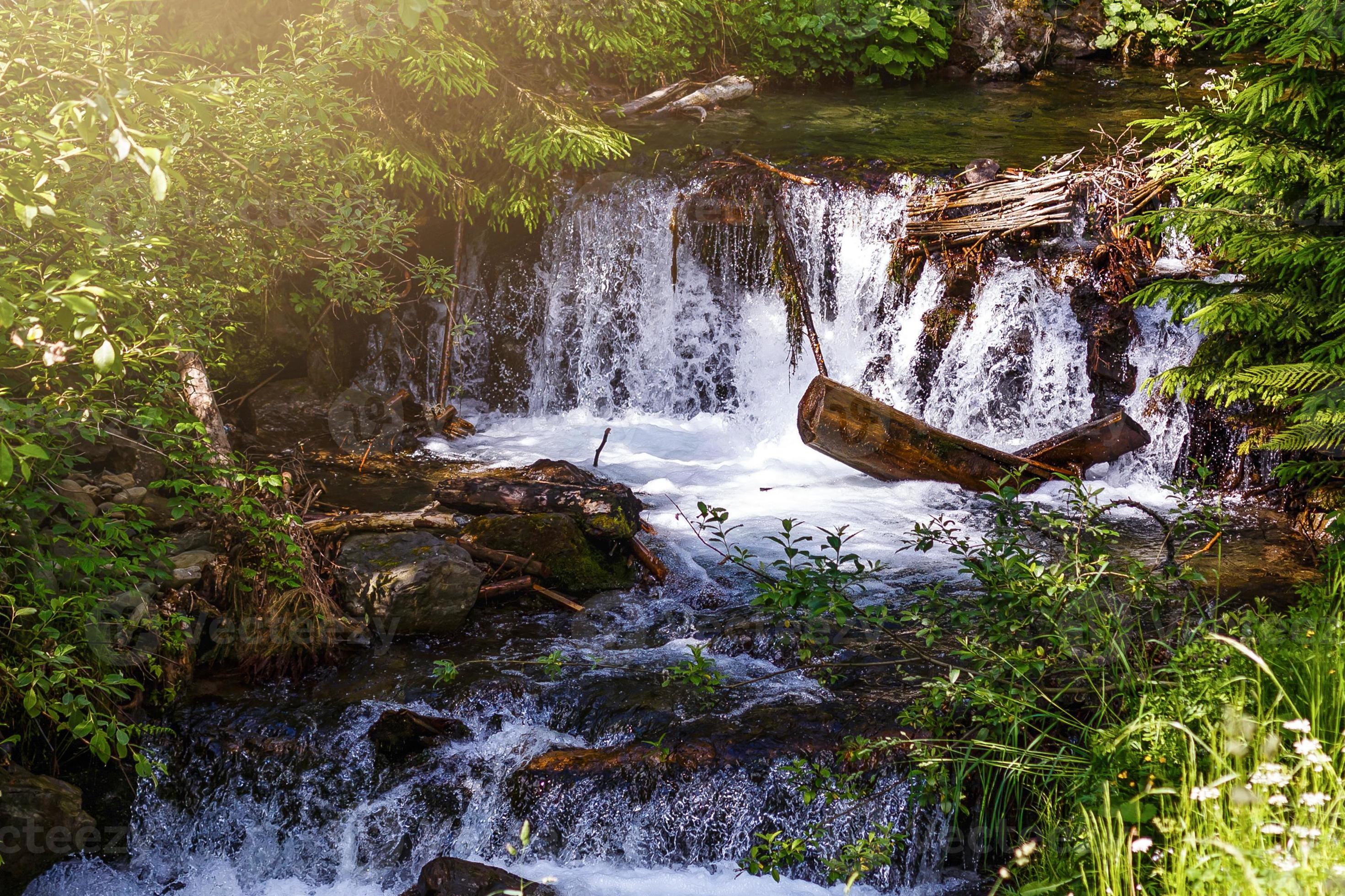 Beautiful landscape rapids on a mountains river in sunlight. Filtered image  colorful effect. 17659148 Stock Photo at Vecteezy