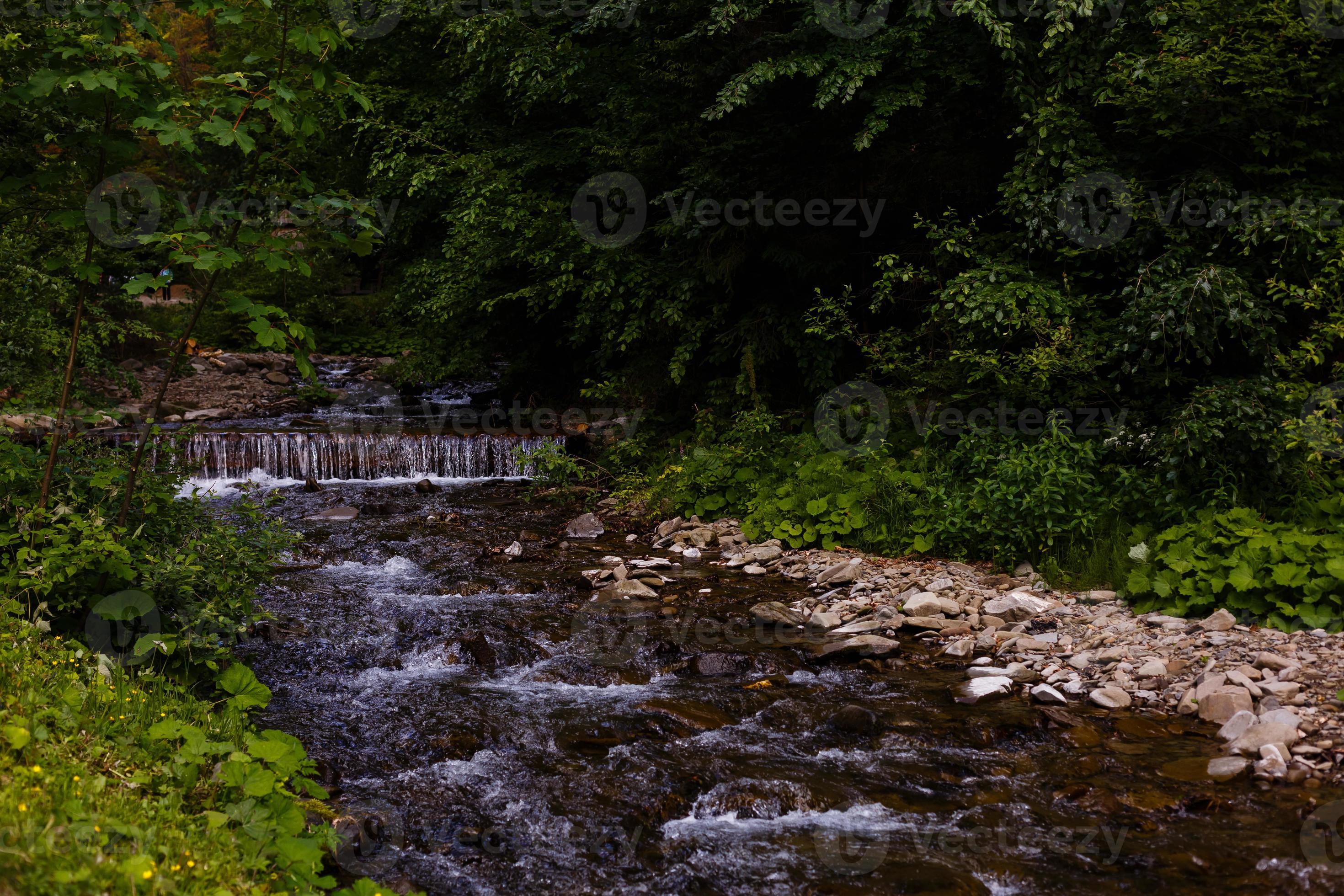 Beautiful landscape rapids on a mountains river in sunlight. Filtered image  colorful effect. 17659148 Stock Photo at Vecteezy