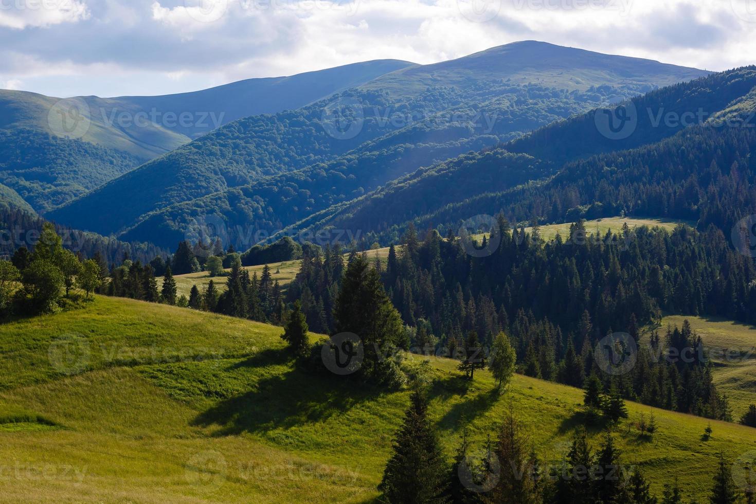 hermoso día soleado está en el paisaje de montaña. cárpatos, ucrania. foto