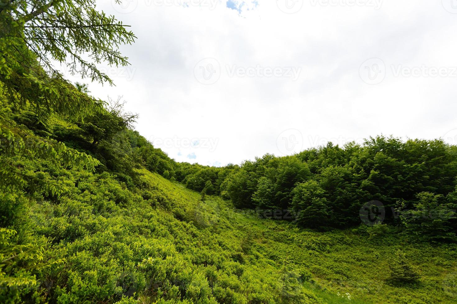 Beautiful sunny day is in mountain landscape. Carpathian, Ukraine. photo