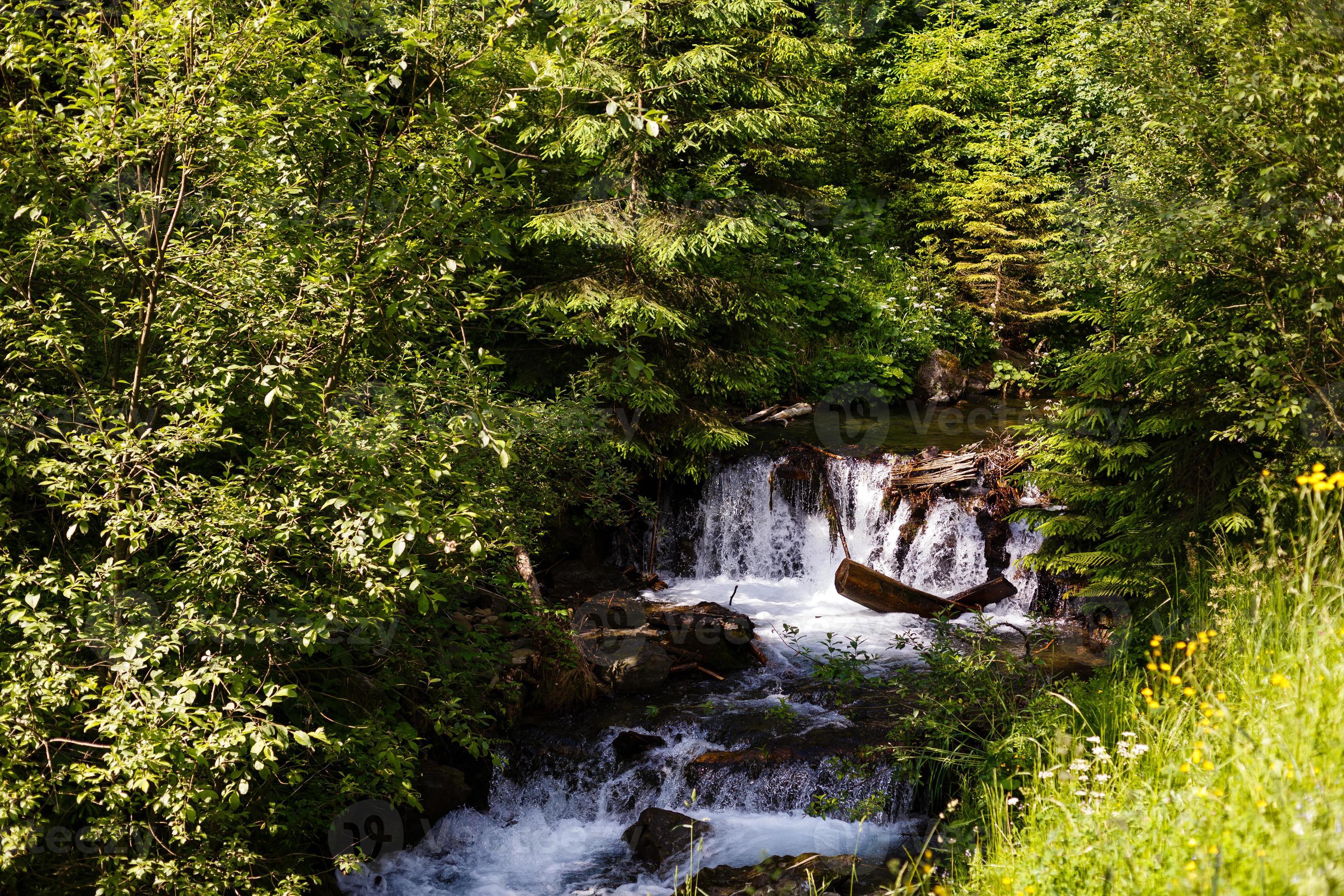 Beautiful landscape rapids on a mountains river in sunlight. Filtered image  colorful effect. 17659148 Stock Photo at Vecteezy