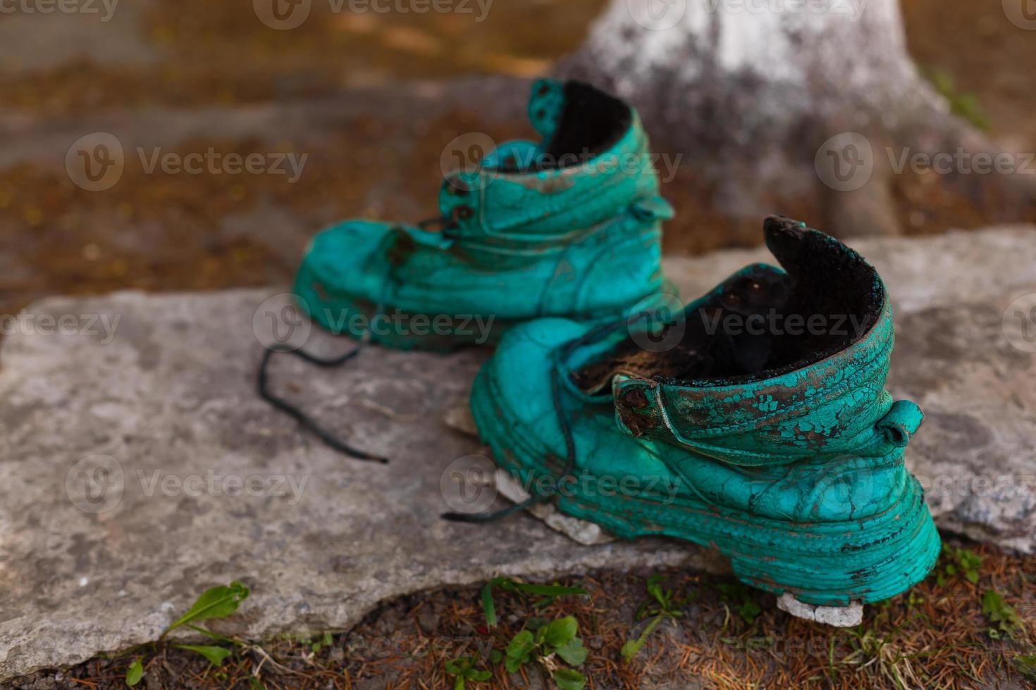 Old shoe covered in moss in a spring forest. Abstract image. Old green shoes photo