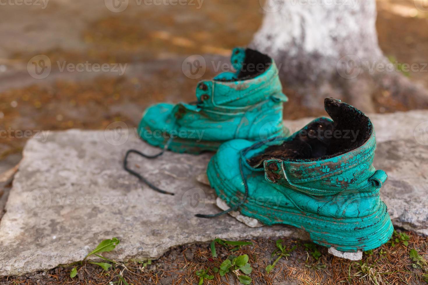 Old shoe covered in moss in a spring forest. Abstract image. Old green shoes photo